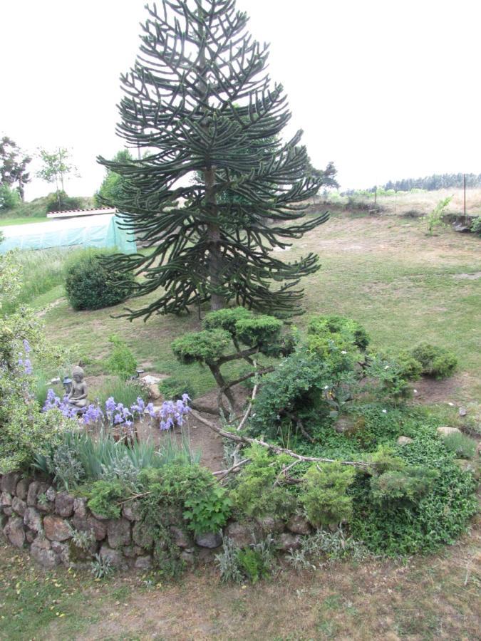 Bed and Breakfast Chez Sophie Et Gilles Monistrol-sur-Loire Екстер'єр фото